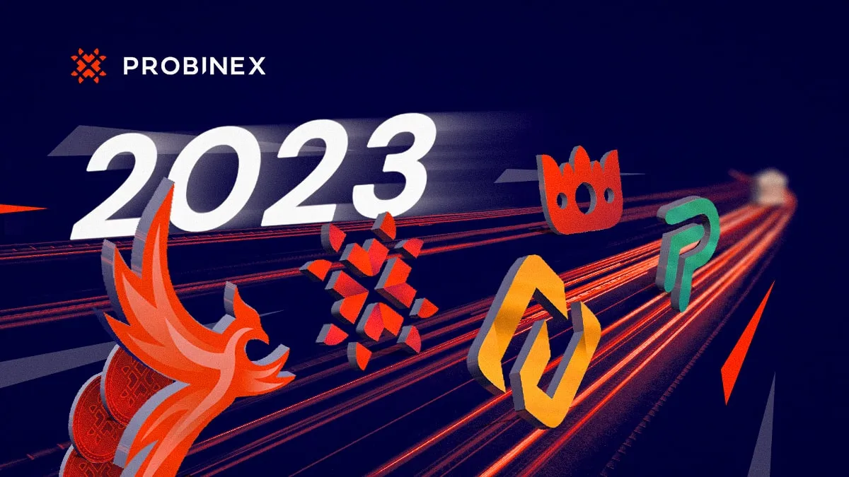 Probinex banner