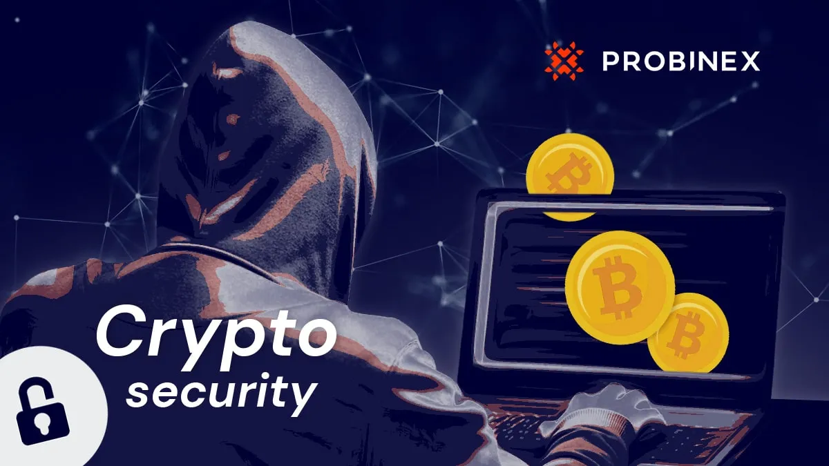 Probinex banner